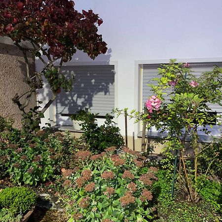 Moderne Souterrain-Oase In Top-Lage Bad Hersfeld Exteriör bild